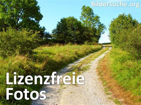 pixabay bilder kostenlos verwenden|Lizenzfreie Bilder kostenlos nutzen: So gehts